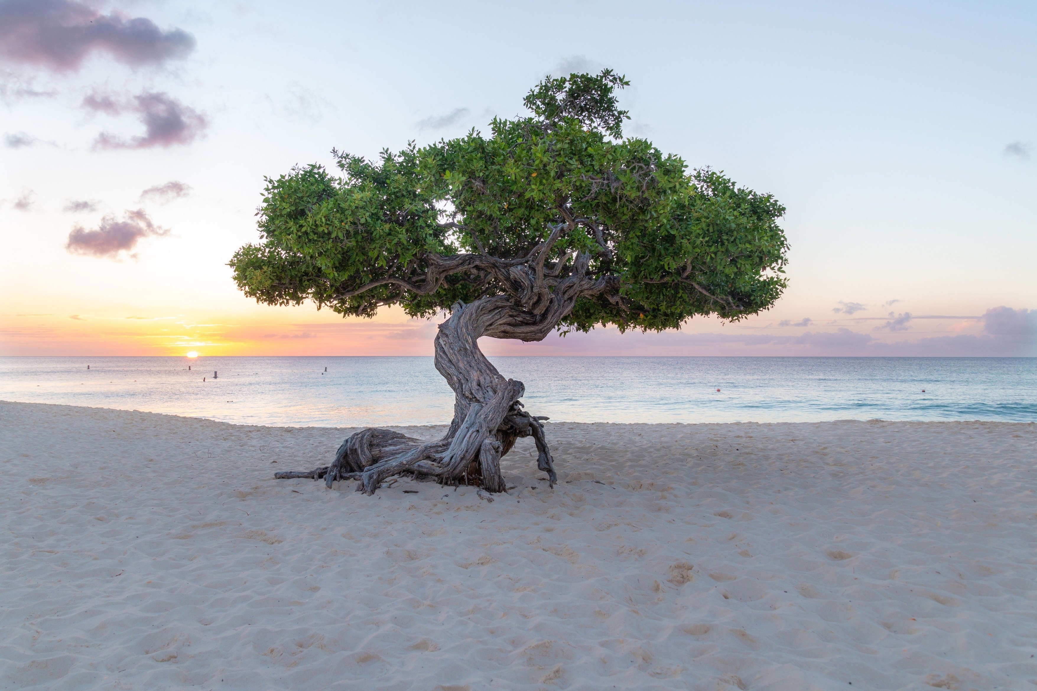 Aruba “One happy Island”