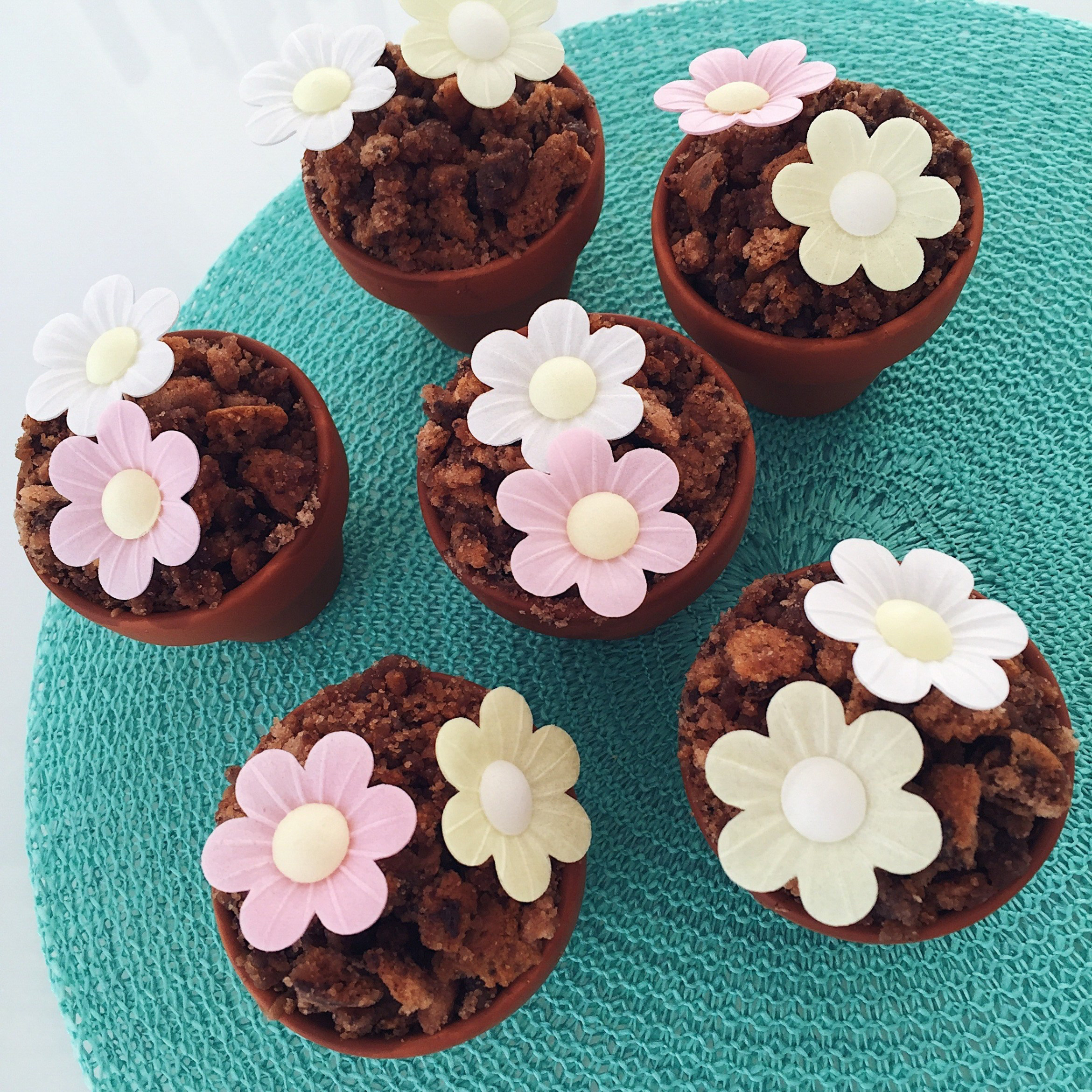 BLUMIGE SCHOKO MUFFINS