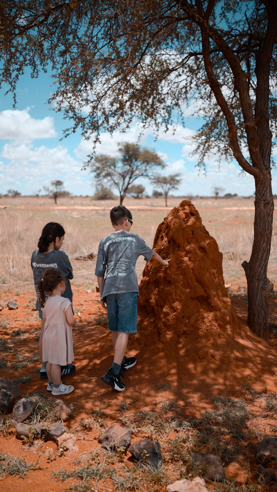 Auab Country Lodge in der Kalahari