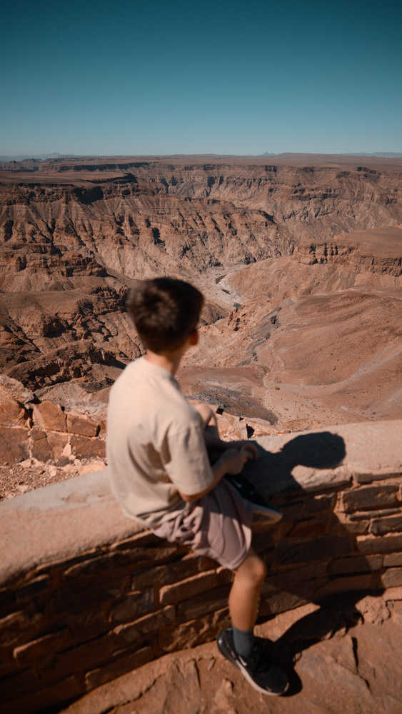Wildpferde der Namib bei Aus