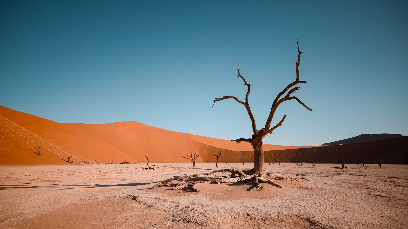 Orange Düne und blauer Himmel im Sossusvlei
