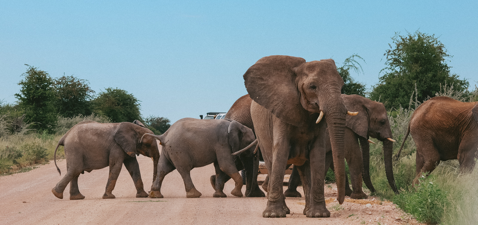 Namibia mit Kindern 2025/26 – unser 25-Tage Familien-Roadtrip