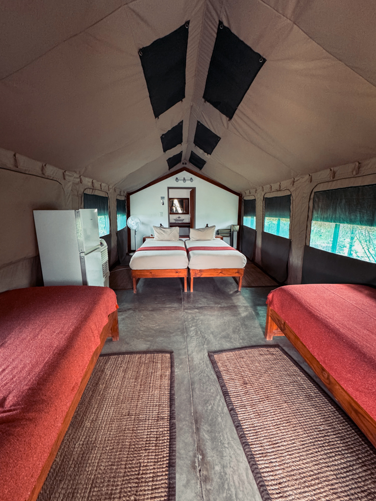 Unser Luxus-Zelt im Camping 2 Go am Etosha Safari Camp